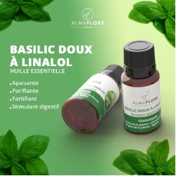 ALMAFLORE Huile Essentielle de Basilic Doux 10ML