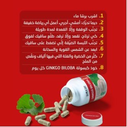 BIOHERBS Ginko Biloba 60 GELULES