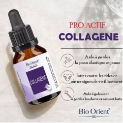 BIO ORIENT PRO ACTIF COLLAGENE 10ML	