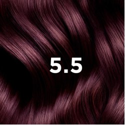 PHYTOCOLOR - COULEUR SOIN 5.5 CHATAIN CLAIR ACAJOU PHYTOCOLOR - COULEUR SOIN 5.5 CHATAIN CLAIR ACAJOU