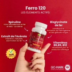 THERAPIA FERRO 120 30 GELULES THERAPIA FERRO 120 30 GELULES